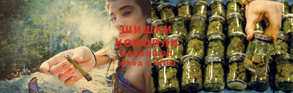 jwh Карпинск