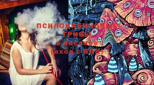 jwh Карпинск